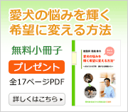 無料小冊子プレゼント