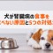 犬 腎臓病 食事