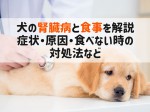 犬 腎臓病 食事