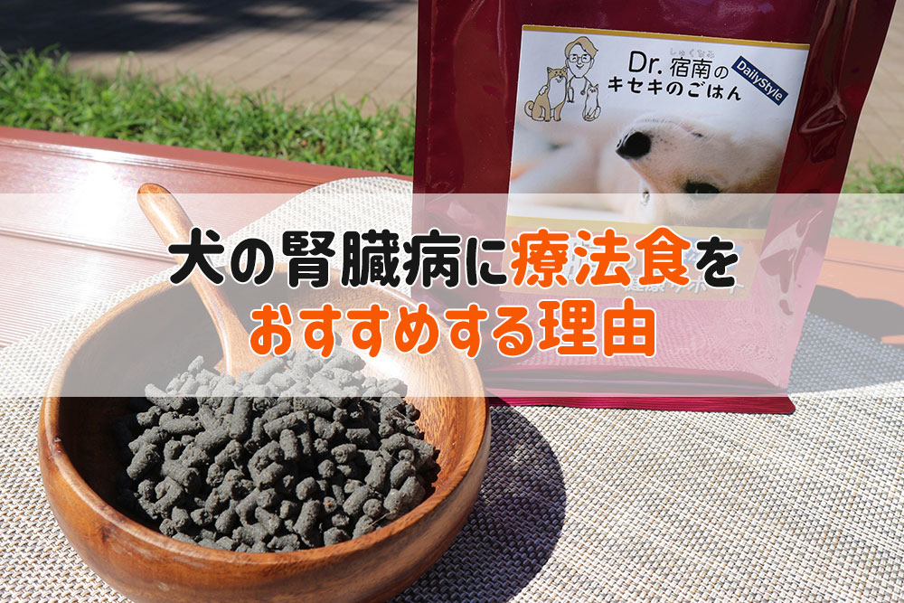 犬 腎臓病 療法食