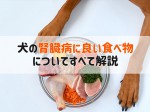 犬 腎臓病 良い食べ物