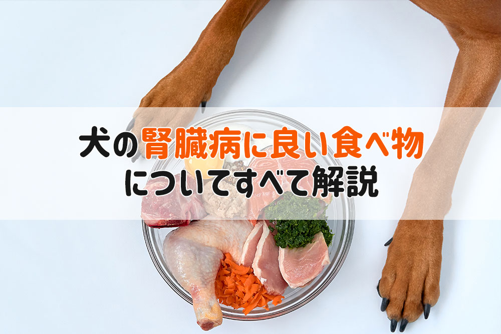 犬 腎臓病 良い食べ物