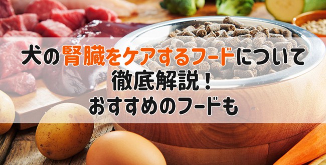 犬腎臓病フード