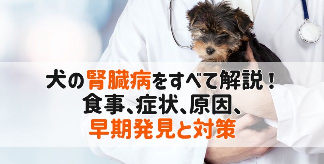 犬腎臓病