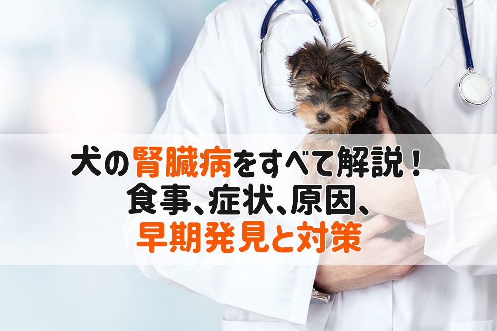 犬腎臓病