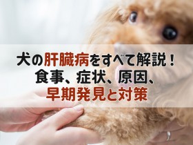 犬 肝臓病