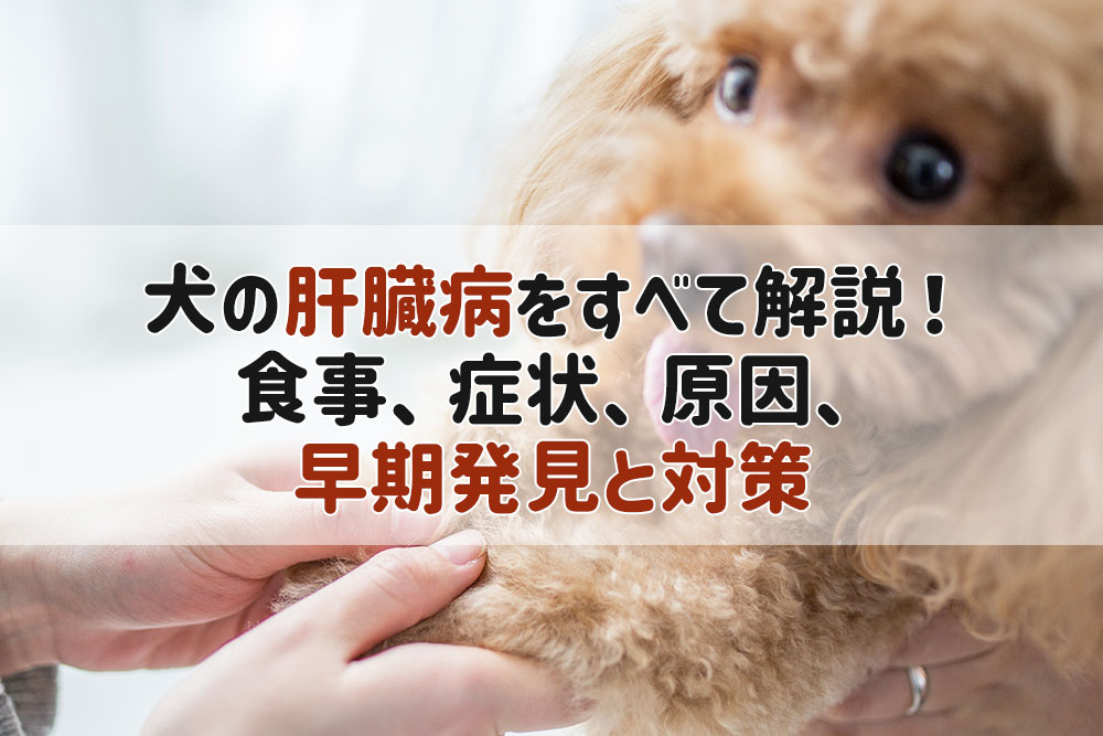 犬 肝臓病