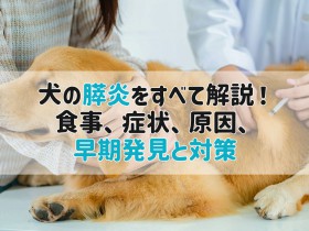 犬 膵炎 食事