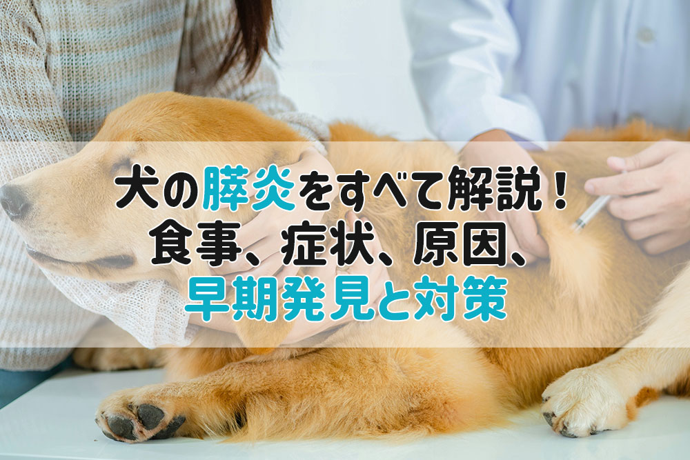 犬 膵炎 食事