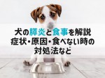 犬 膵炎