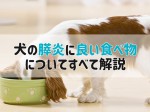 犬 膵炎 食事