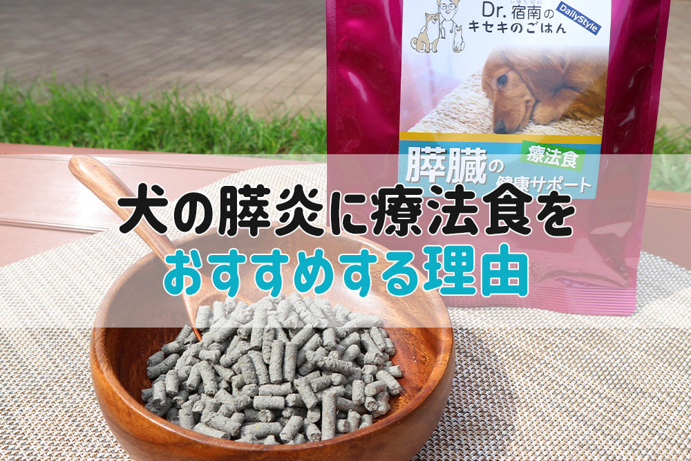 犬 膵炎 食事