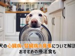 犬心臓病 腎臓病食事