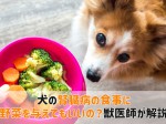 犬腎臓病食事野菜