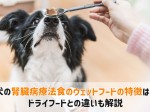 犬腎臓 療法食 ウェット