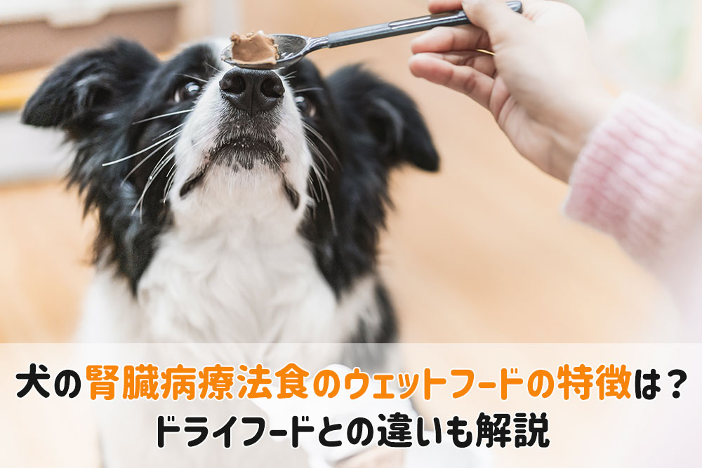 犬腎臓 療法食 ウェット