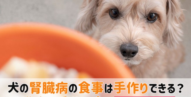 犬腎臓病 手作り食