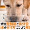 犬腎臓病 水