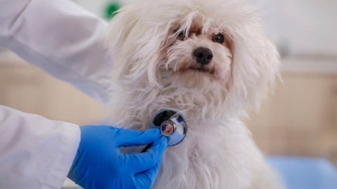 早期発見と診断