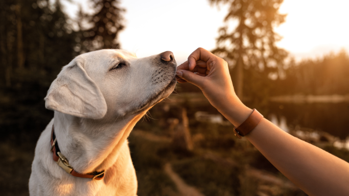 食欲がないときの対処法