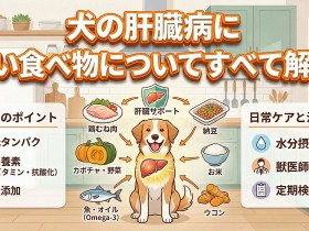 ic-liver-20251223-ph02