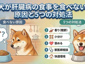 ic-liver-20251223-ph06