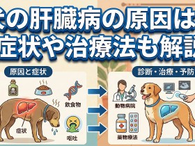 ic-liver-20251223-ph07