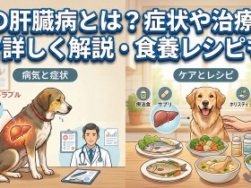 ic-liver-20251223-ph09