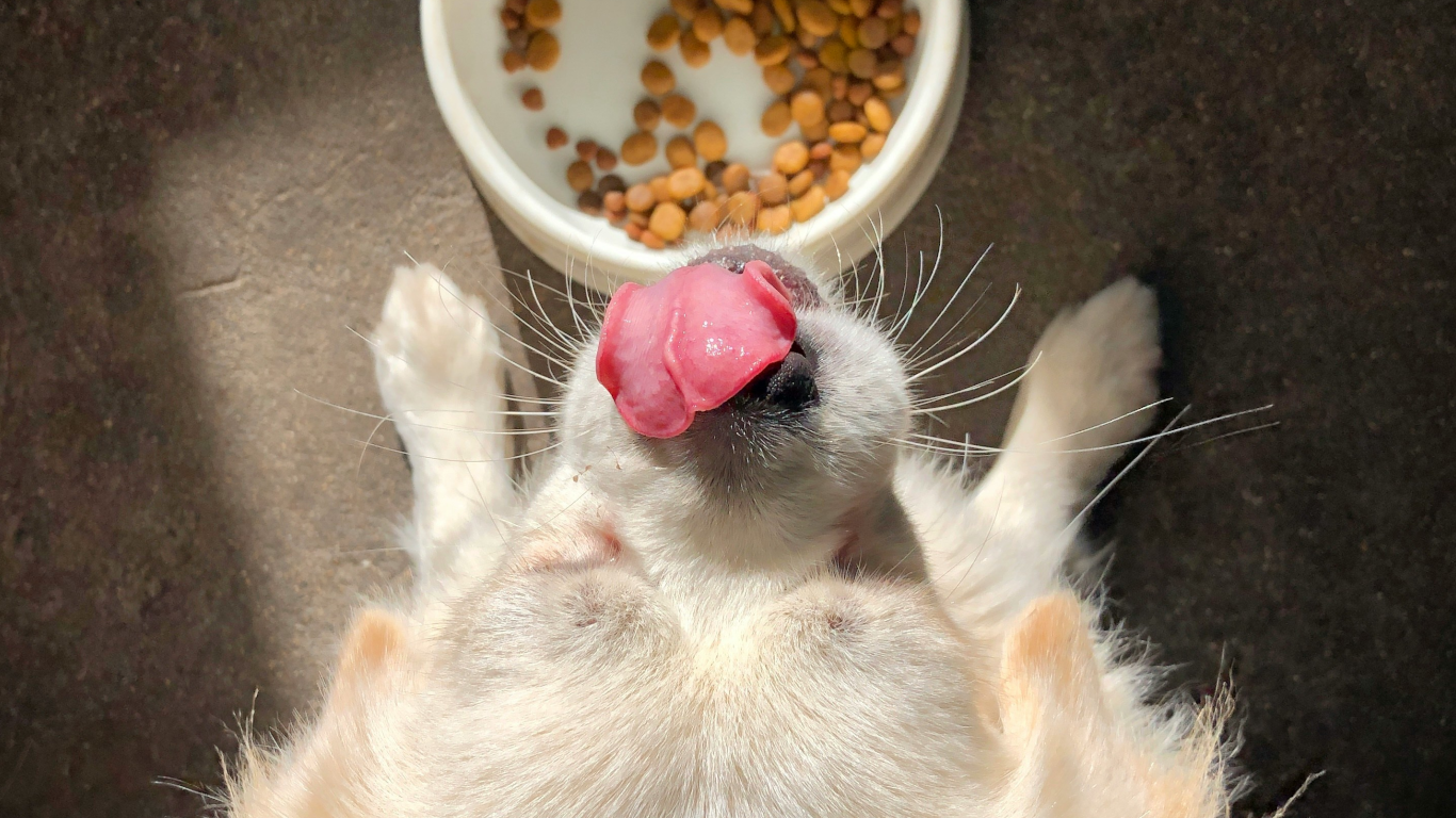 腎臓病を予防する食事法