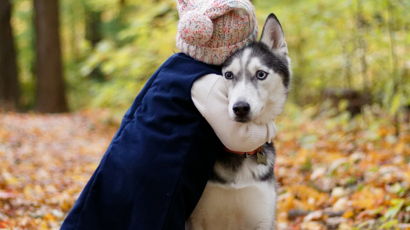 愛犬が腎臓病と診断されたら
