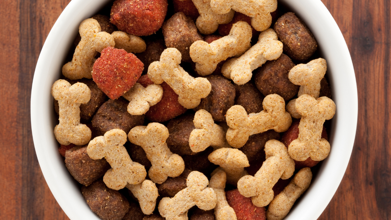 腎臓病に適したドッグフード