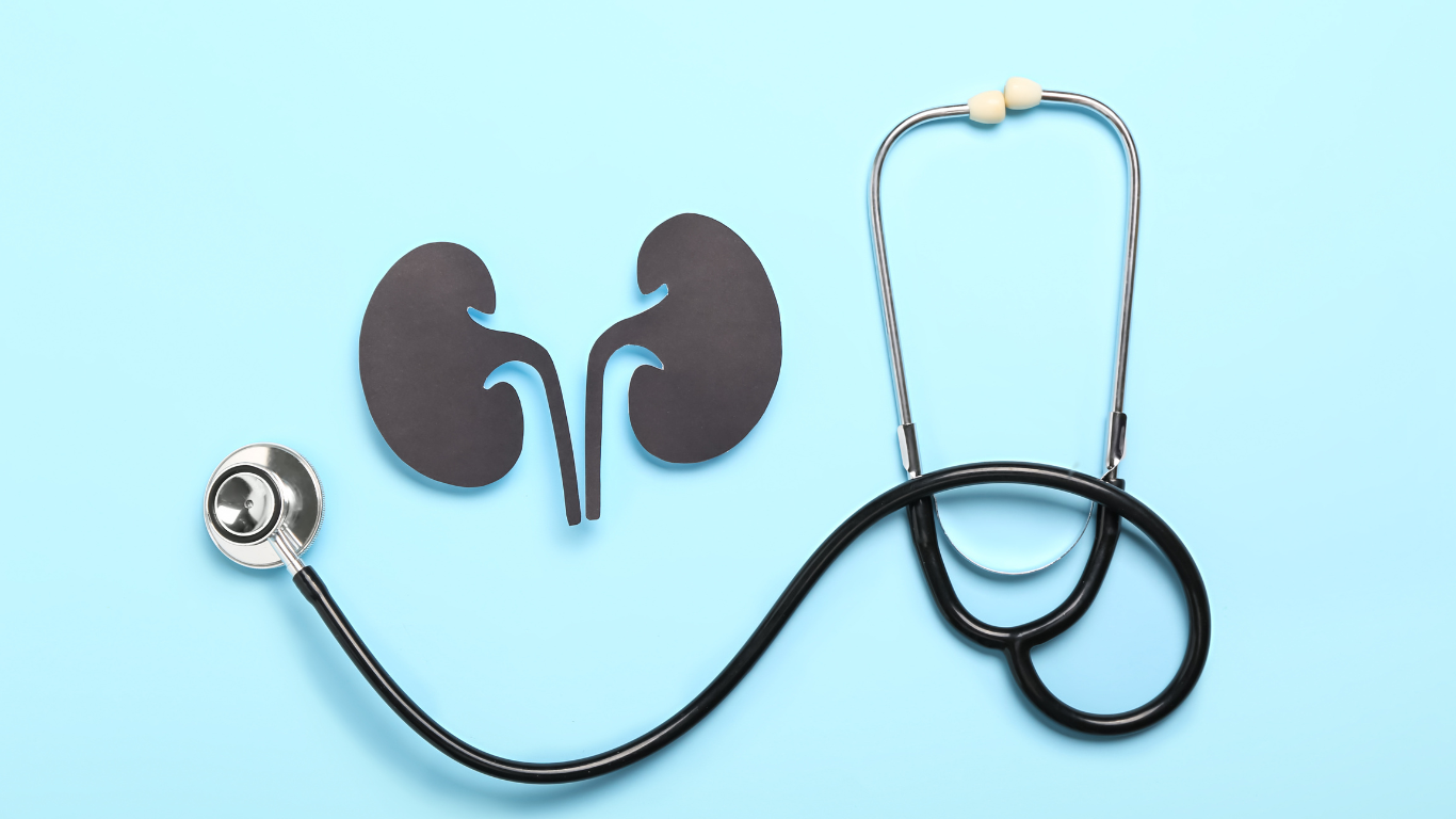 犬の腎臓病のステージ