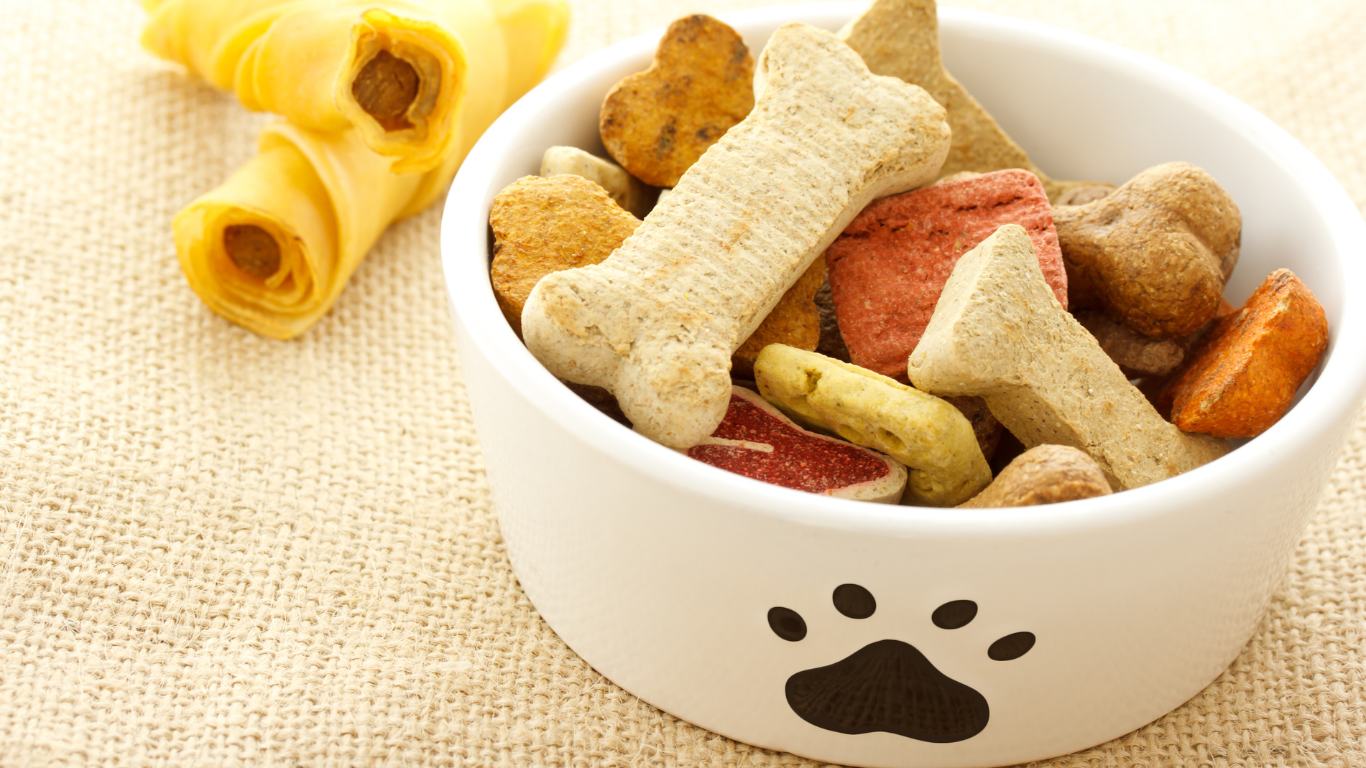 犬の慢性腎臓病(慢性腎不全)の食事