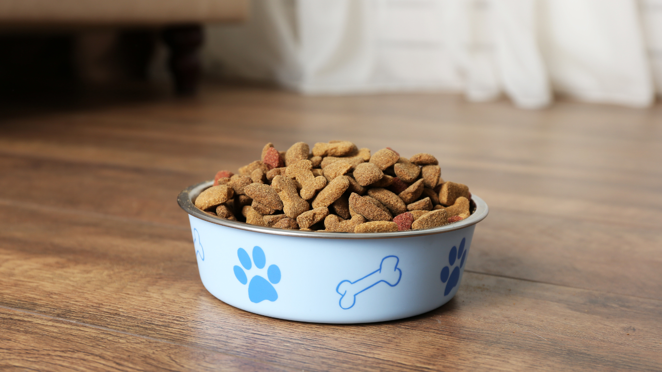 腎臓病を持つ愛犬が食べないとき