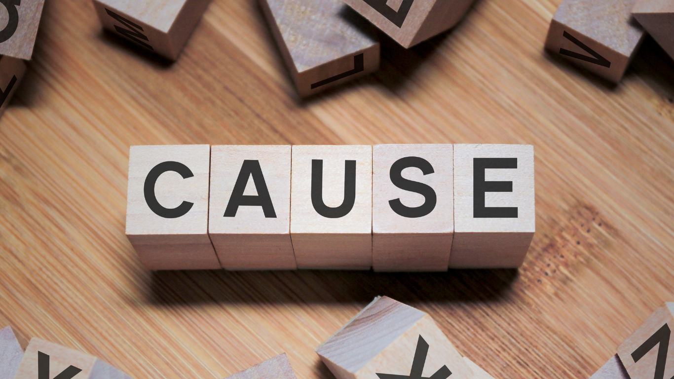 腎臓病を持つ愛犬が食べない理由