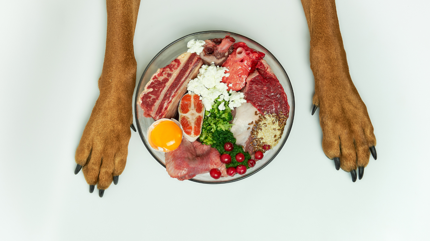 腎臓病の犬に与えてはいけない食材