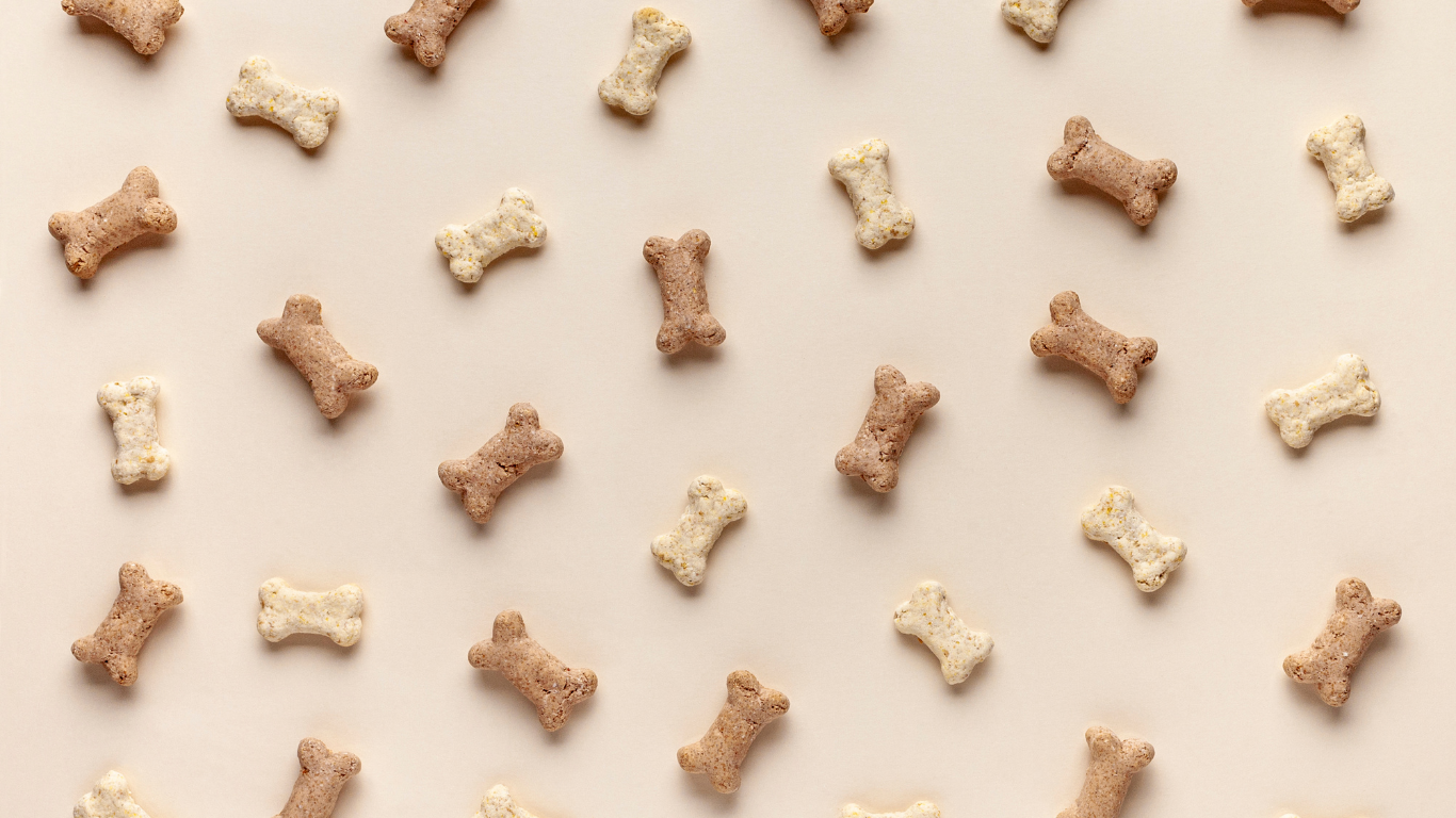 療養食(特別食)ドッグフードの選び方