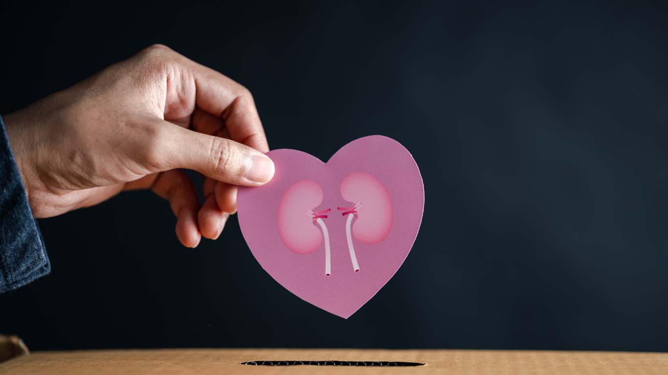 犬の腎臓病(腎不全)とは?