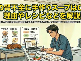 ic-kidney-20260107-ph10