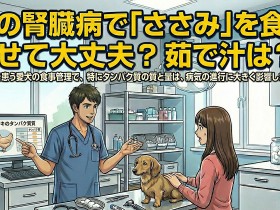 ic-kidney-20260107-ph14