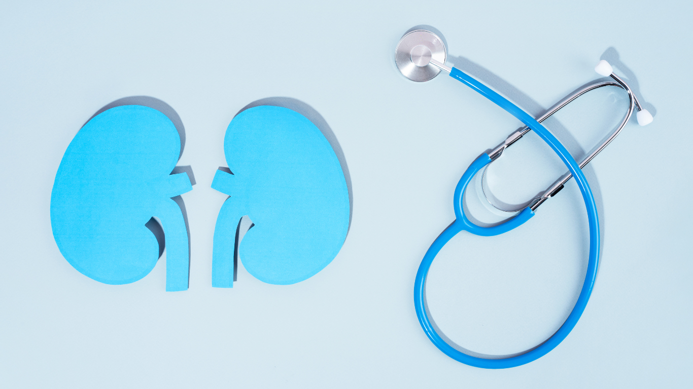 犬の腎臓病とは