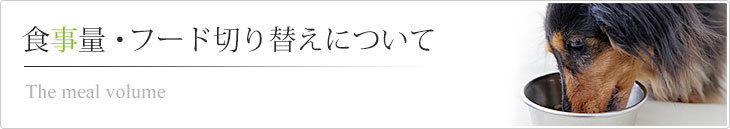 食事量・フードの切り替えについて