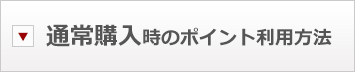 通常購入時のポイント利用方法