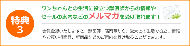 特典3 メルマガを受け取れます