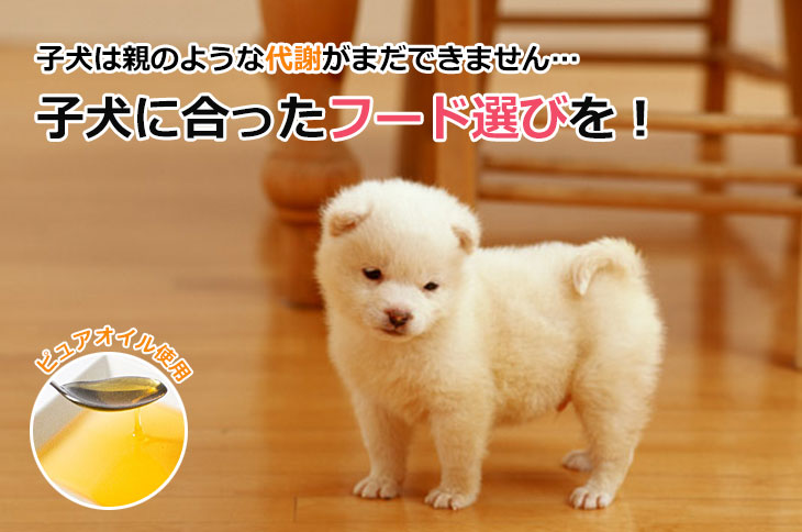 DailyStyle プレミアムフード子犬（1歳未満）用 1kg