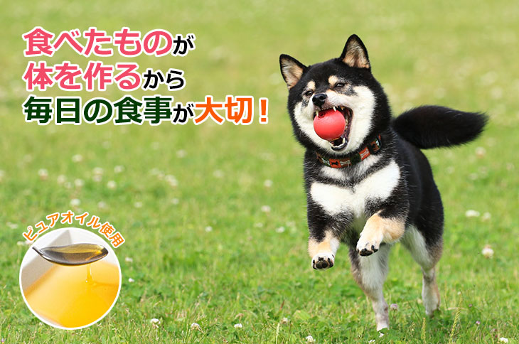 鹿肉ドッグフード DailyStyle(デイリースタイル)・1㎏入り|獣医師 鹿肉ドッグフード DailyStyle(デイリースタイル)・1㎏入り|獣医師