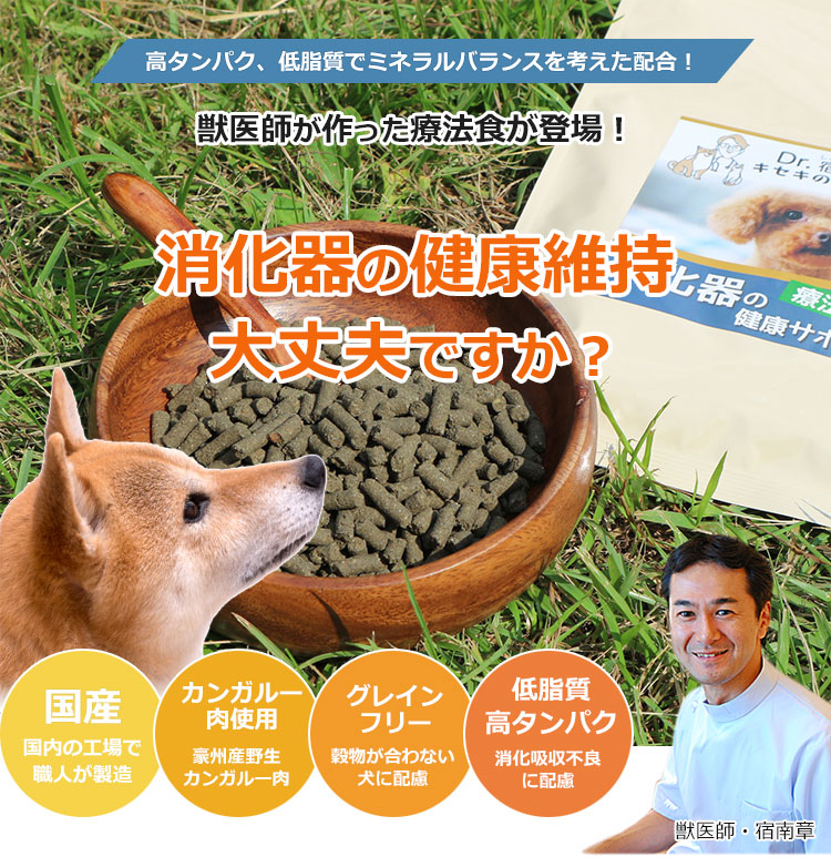 犬用消化器サポート低脂肪小袋３０ｇ７５袋 ロイヤルカナン Dライン 犬用 消化器サポート 低脂肪 小型犬用S