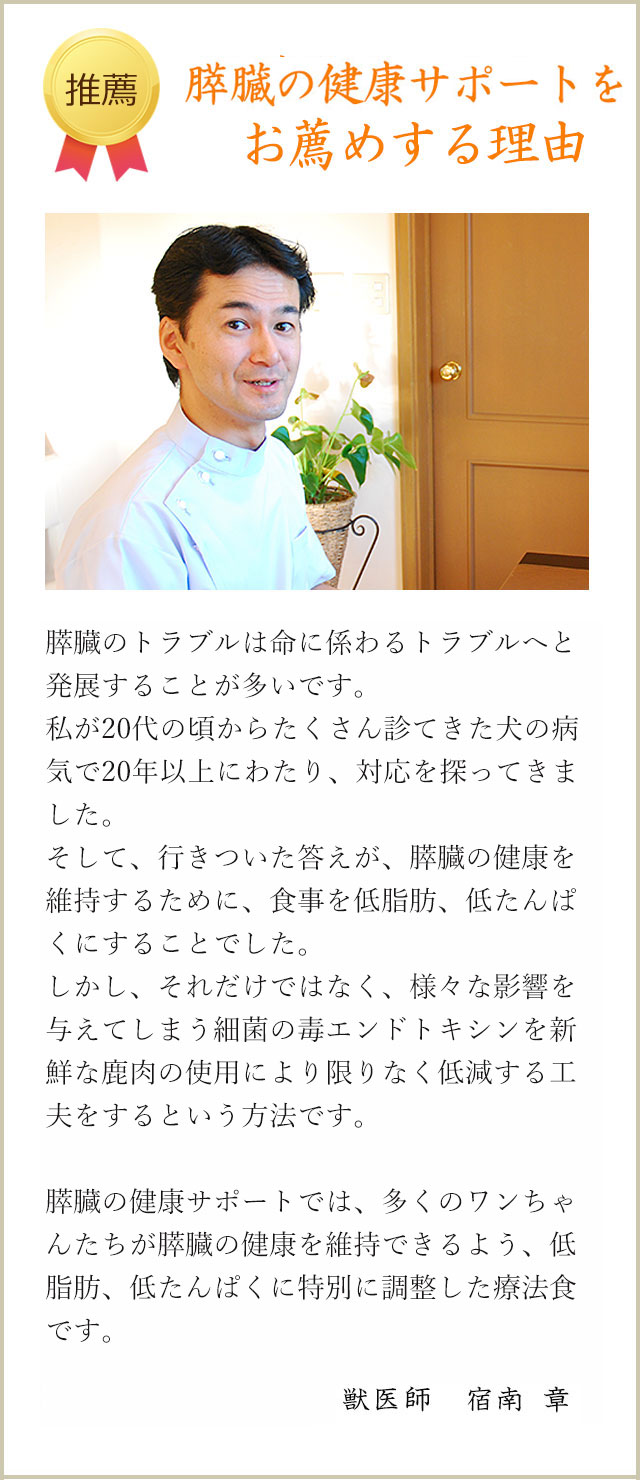 獣医師 宿南章開発 犬用療法食 膵臓サポート の販売 通販 獣医師 宿南章開発 犬用療法食 膵臓サポート の販売 通販