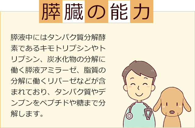 獣医師 宿南章開発 犬用療法食 膵臓サポート の販売 通販