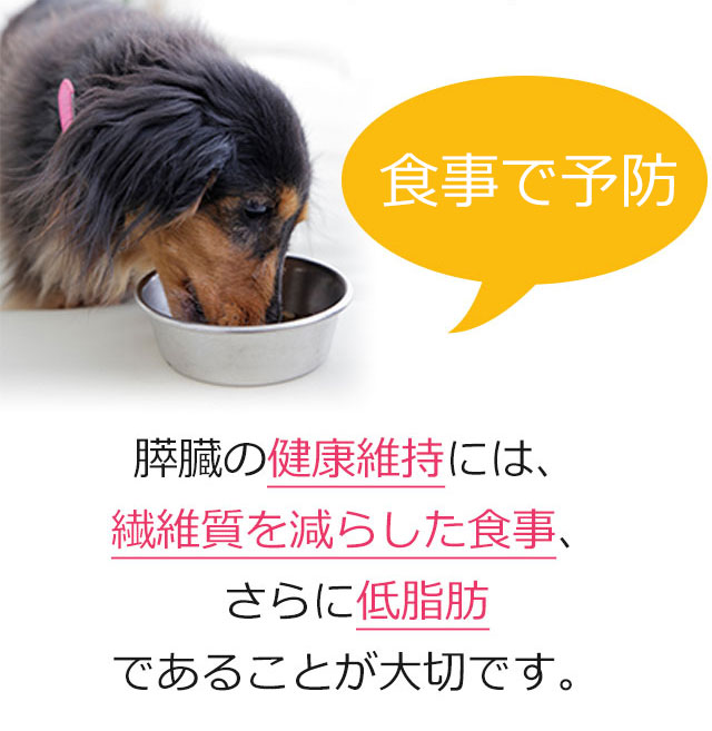 獣医師 宿南章開発 犬用療法食 膵臓の健康サポート の販売 通販